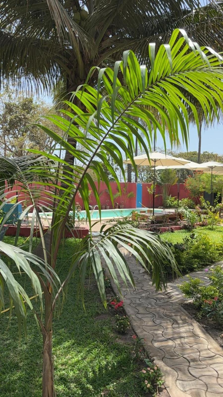 Bed and Breakfast Heda House Sanyang Exteriér fotografie